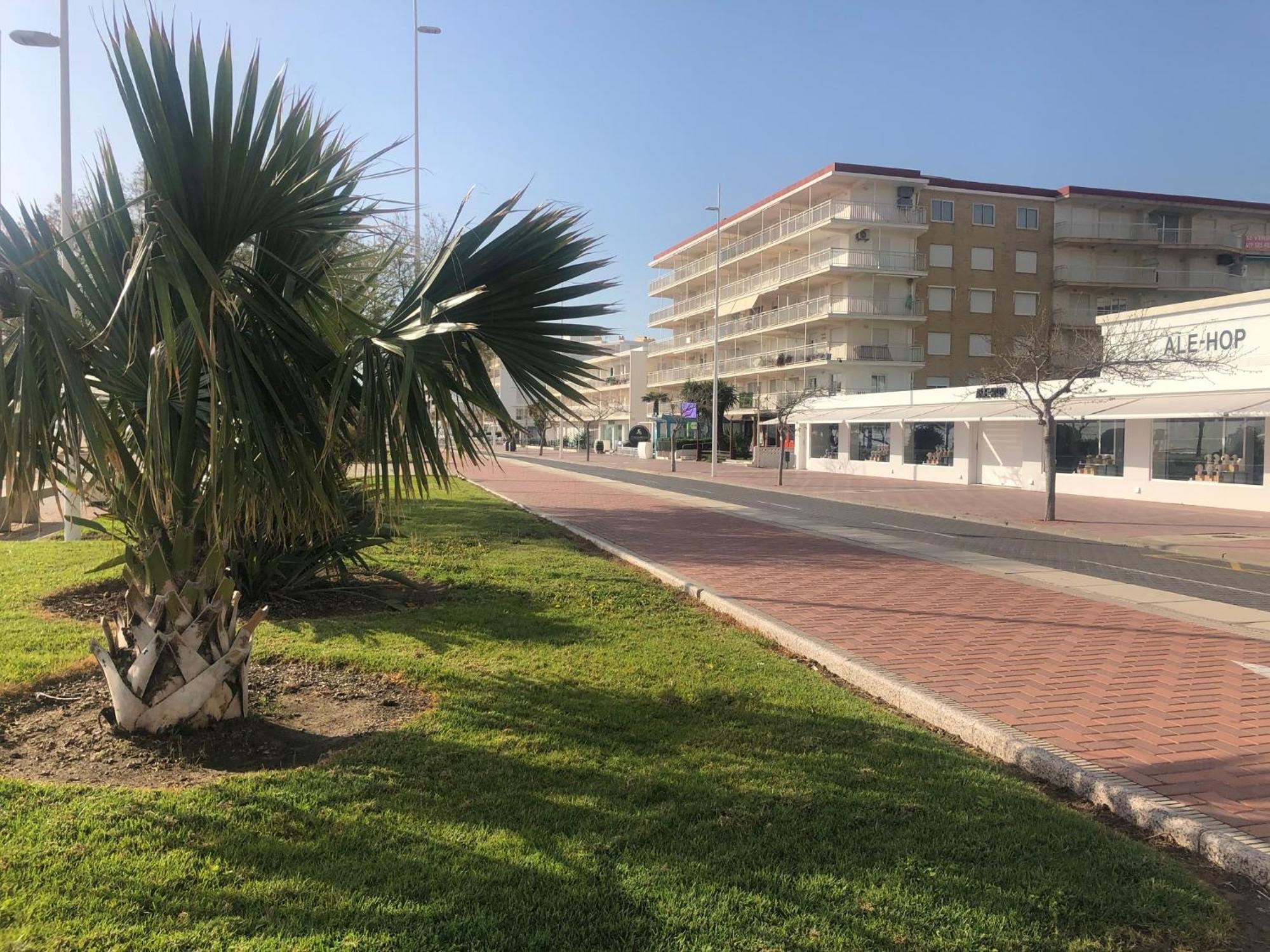 Playa De Gandia 1Ere Ligne El Galeon Leilighet Eksteriør bilde